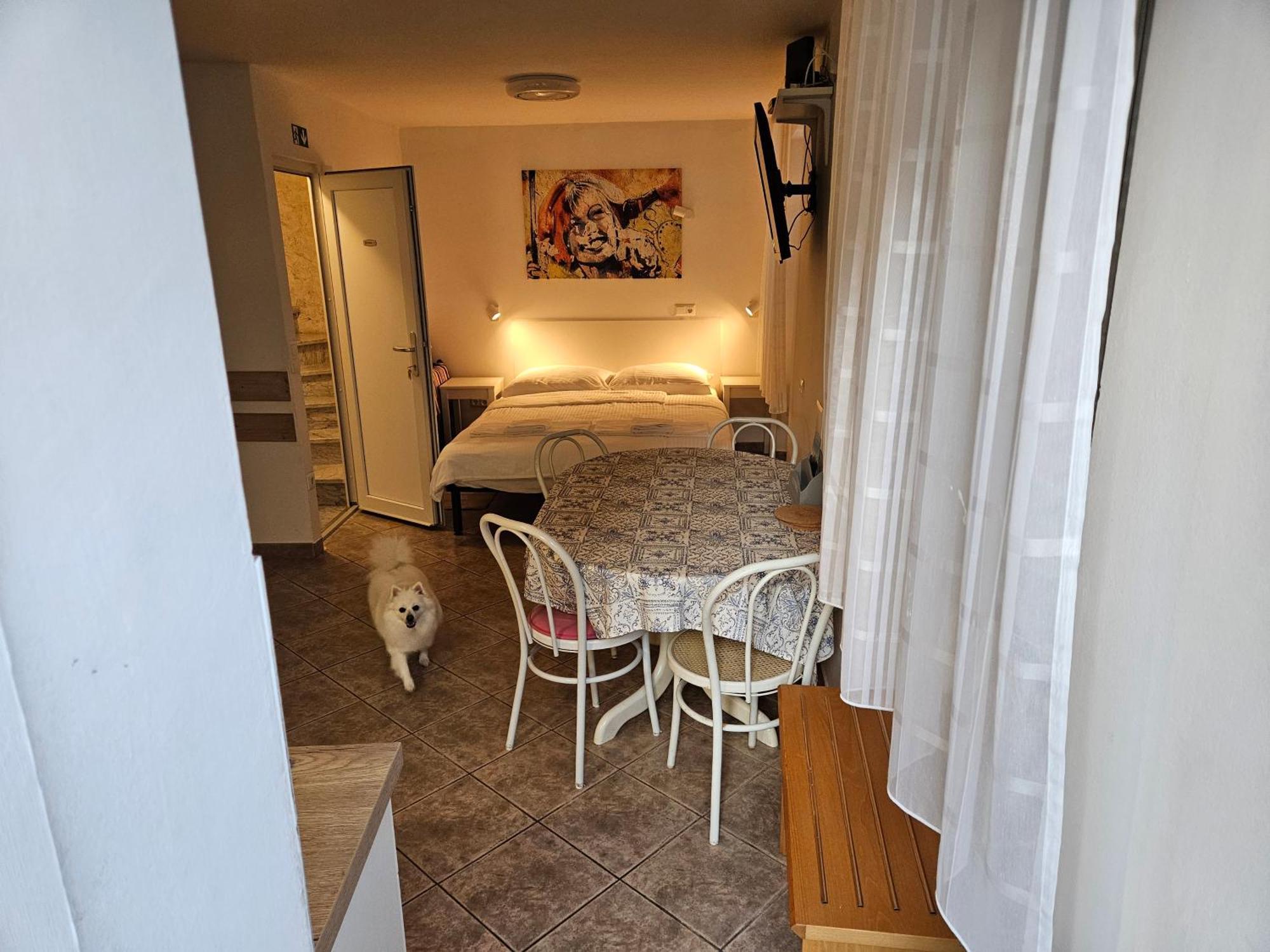 Don Dolfino - Hisa Dolfinova Vrata Apartment Piran