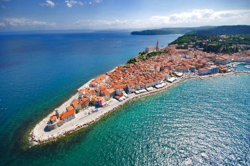 Don Dolfino - Hisa Dolfinova Vrata Apartament *